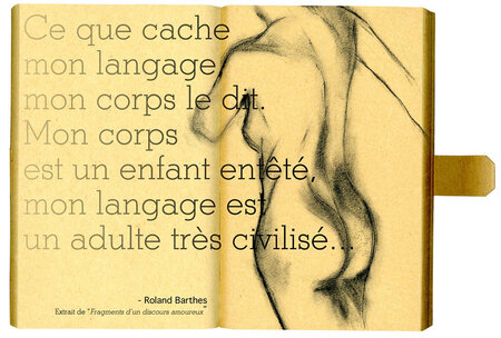 Illustration d'une citation